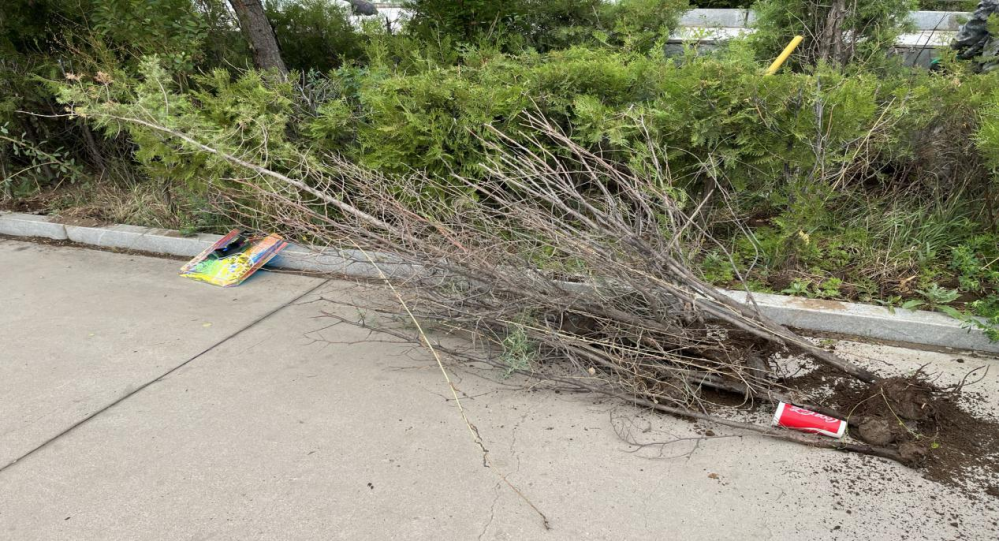 国产毛片精品一区二区色欲黄A片