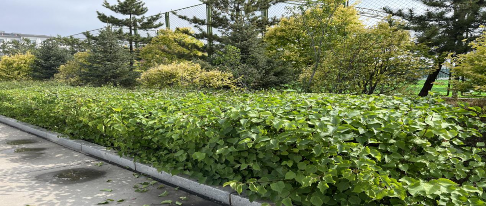 国产毛片精品一区二区色欲黄A片