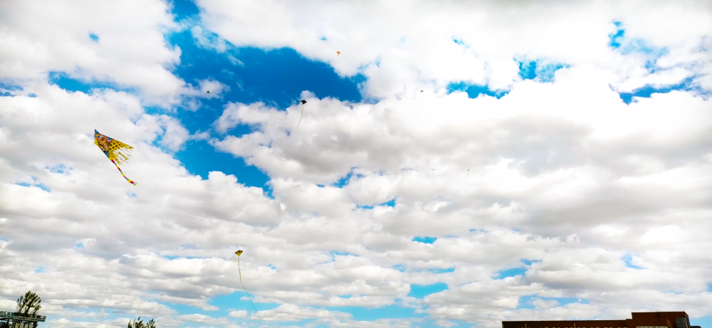 国产毛片精品一区二区色欲黄A片